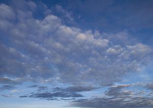 静岡県富士宮市の家族葬に最適な葬儀場：富士葬祭の特色とサービス紹介